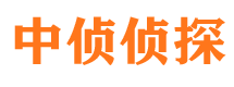 秦安市侦探公司